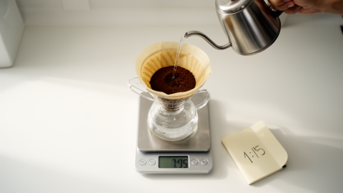 The 15 Percent Rule: Why Your Brew Ratio Controls Extraction More Than Grind Size