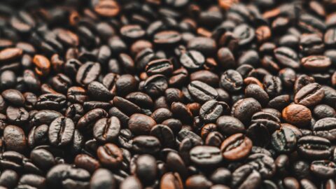 Ethiopian Guji: The High-Altitude Shift From Yirgacheffe&rsquo;s Floral Notes