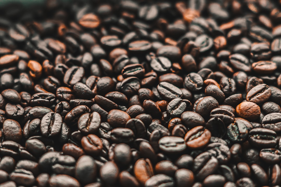 Close-up of roasted Ethiopian Guji coffee beans in a ceramic cup