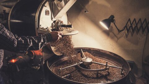Close-up of green coffee beans being suspended in the air chamber of an Ikawa home roaster during a thermal stress test.