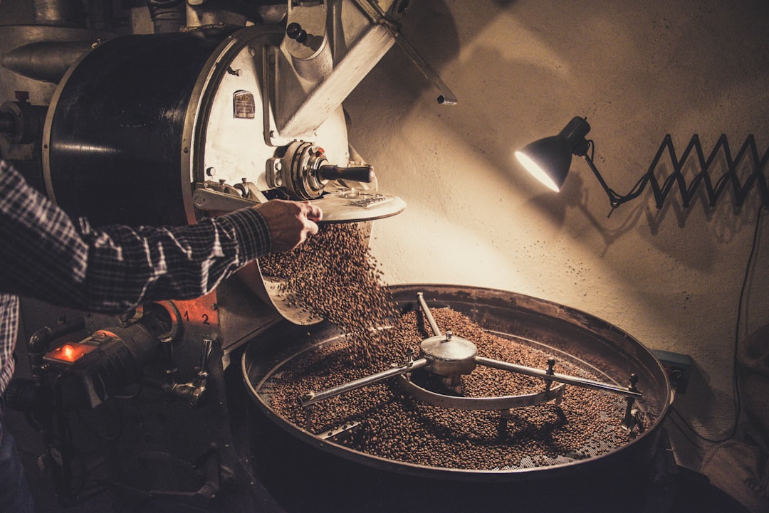 Close-up of green coffee beans being suspended in the air chamber of an Ikawa home roaster during a thermal stress test.