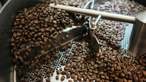 Close-up of coffee beans inside an Ikawa roaster during the dry phase, showing the mesh bed and airflow.