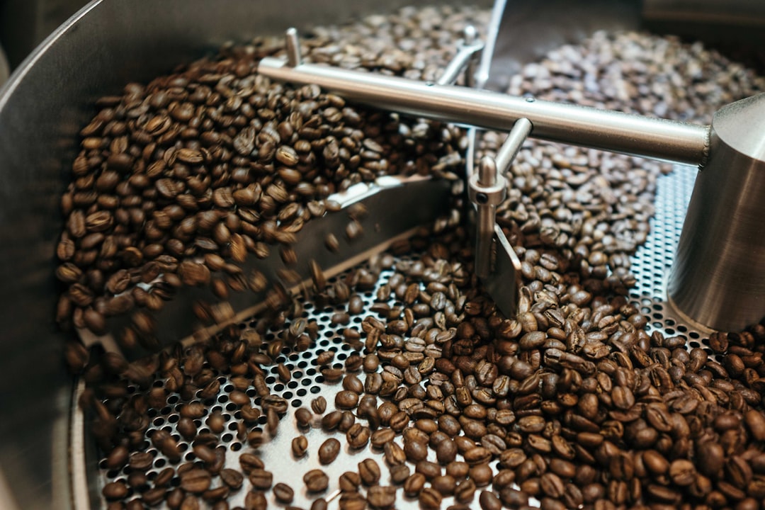 Close-up of coffee beans inside an Ikawa roaster during the dry phase, showing the mesh bed and airflow.