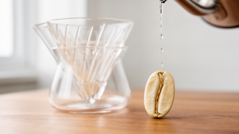 Panama Geisha Isn&rsquo;t a Flavor. It&rsquo;s a Bean That Demands a Different Extraction Target.