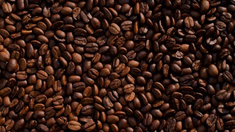 Your Roast Color Is Not the Target. The First Crack Is.