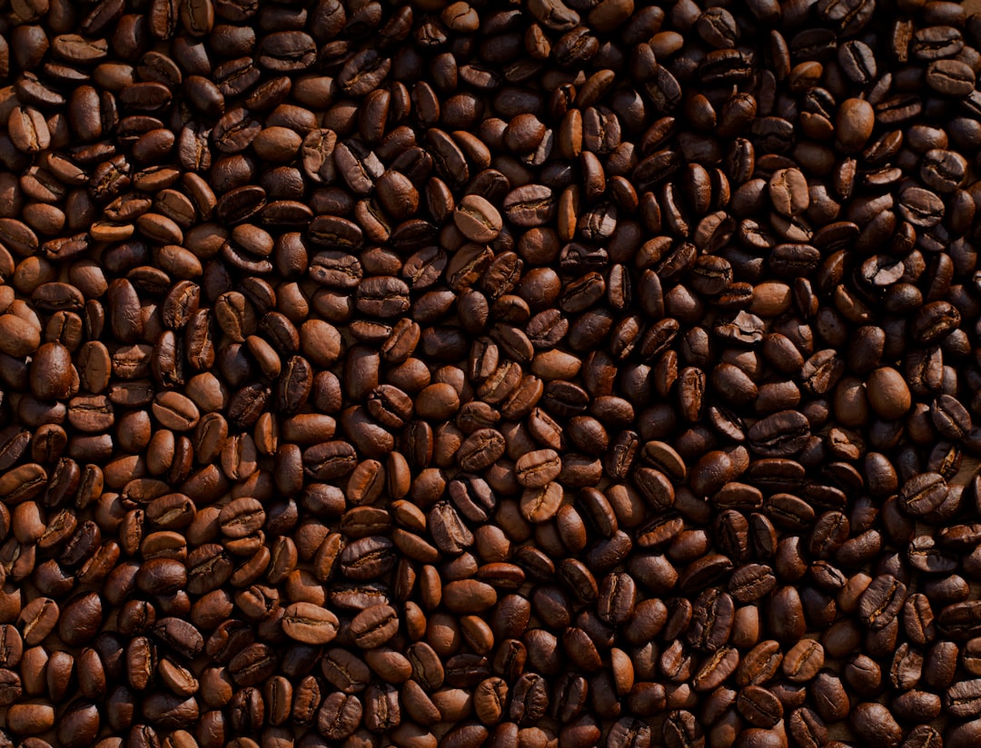 A close-up of a roasted Kenyan SL28 coffee bean with a distinct tomato note flavor profile